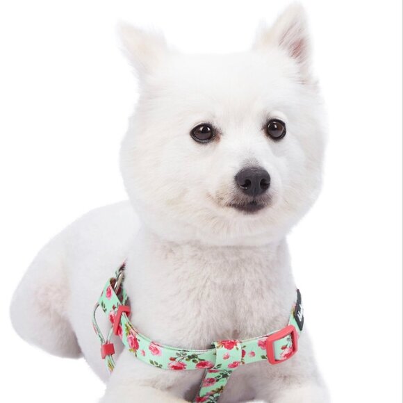 NWT - Blueberry Pet Floral Dog Harness - Picture 2 of 6